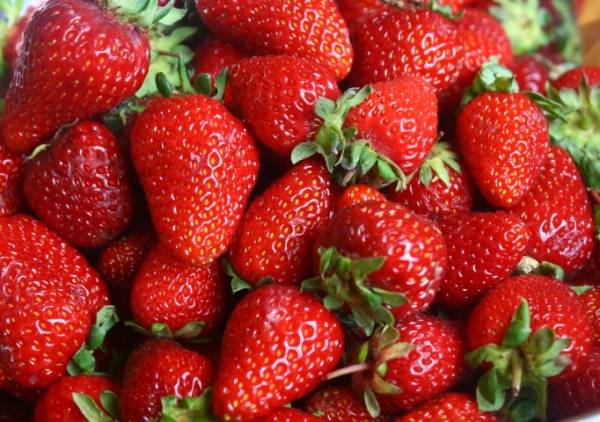 Oreganic strawberries are the only way to go!